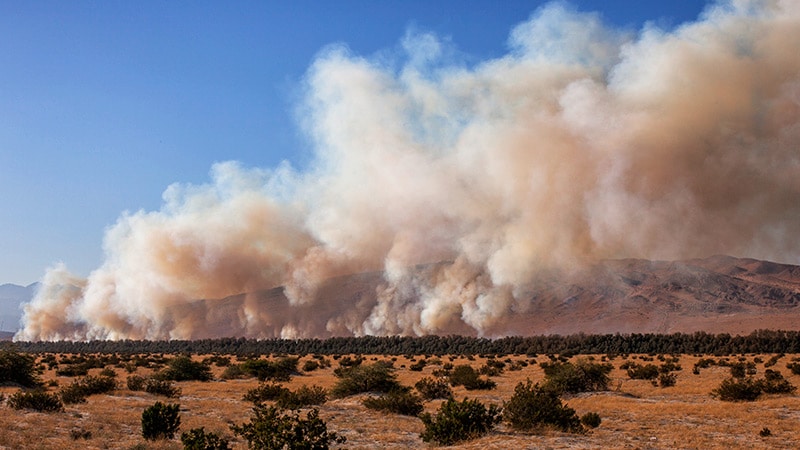 New Approach to Avoid Health Risks From Wildfire Smoke