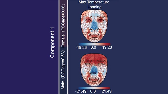 photo of Temperature of face in aging