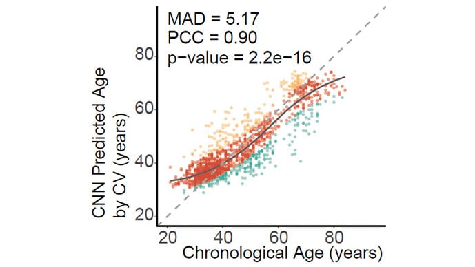 photo of Predicting age from facial temp